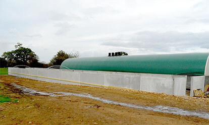 Construction de bâtiments d’élevage pour les veaux