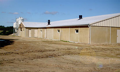 bâtiment d'élevage porcin