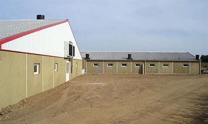 bâtiment d'élevage porcin
