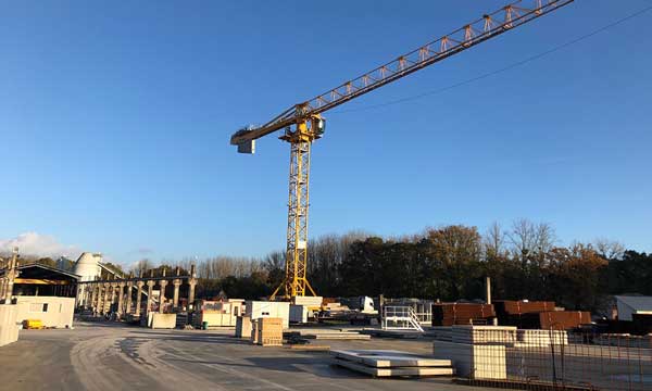 Grue jaune